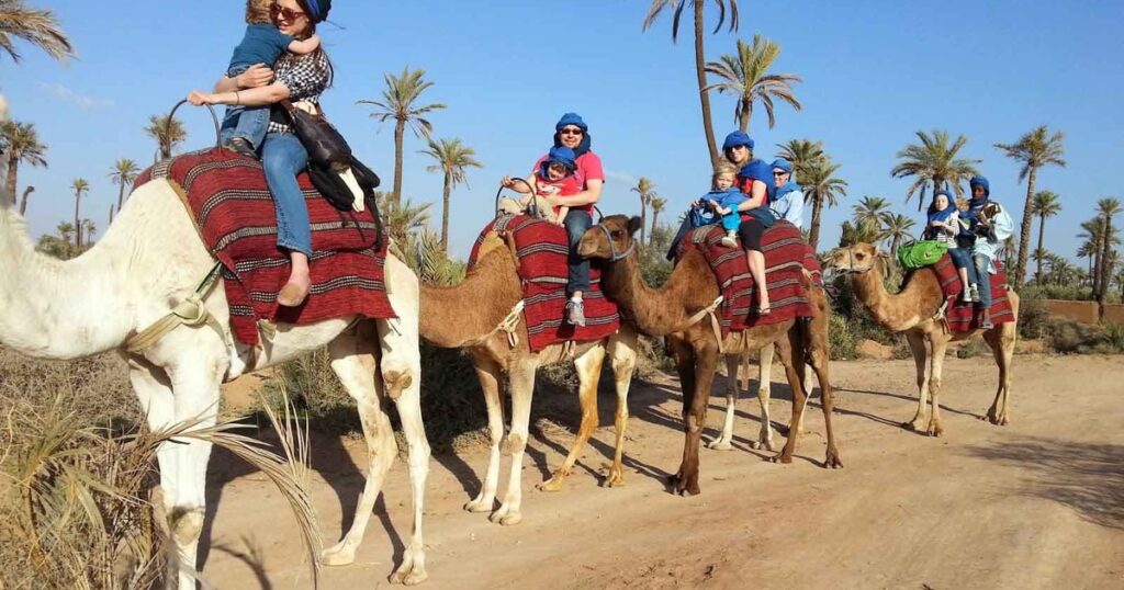 camel ride
