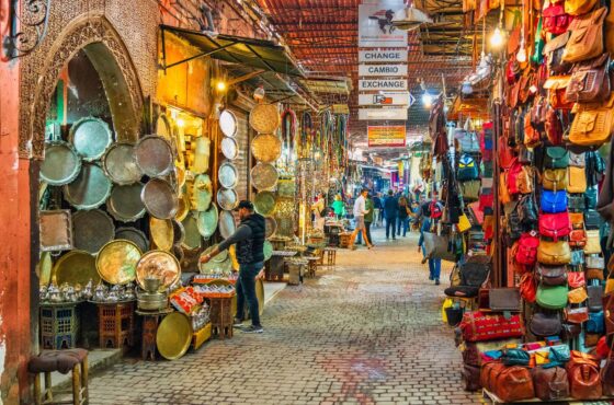 Agadir: Best Way to See Goats, Crocoparc and City Sights
