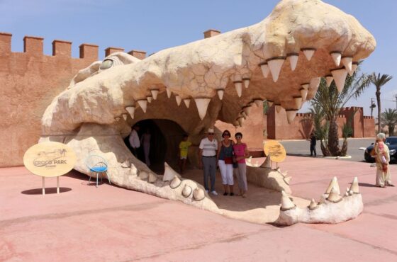 Agadir Crocodile Park Tour with Entry Ticket