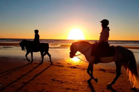 Agadir Horse Riding Tour