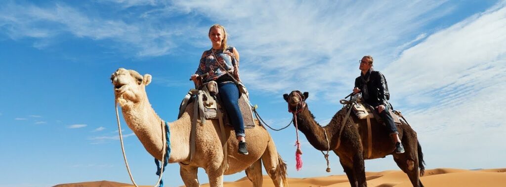Camel Ride In Agadir