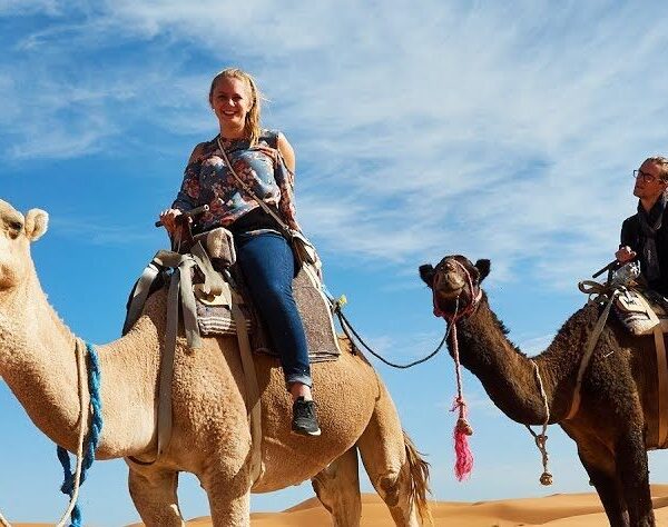 Camel Ride In Agadir