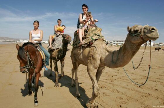 Camel Ride Tour in Agadir