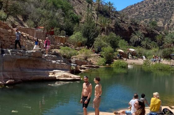 Paradise Valley Half-Day Trip